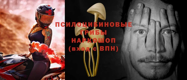индика Баксан
