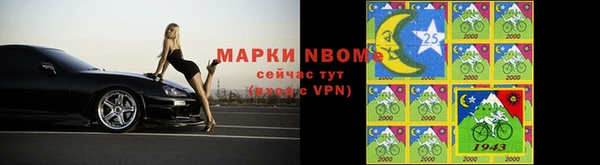 индика Баксан