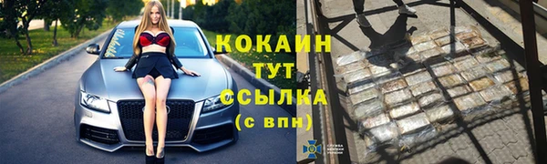 индика Баксан