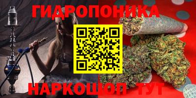 прущие грибы Ипатово