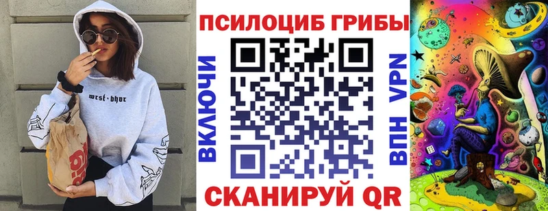 Галлюциногенные грибы Psilocybine cubensis  Спасск-Дальний 