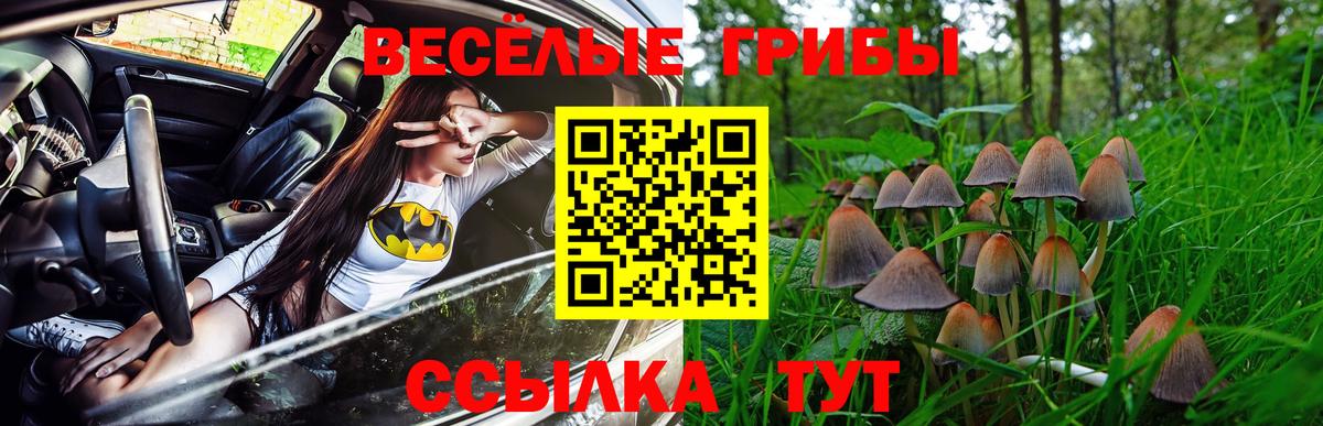 Псилоцибиновые грибы GOLDEN TEACHER Спасск-Дальний