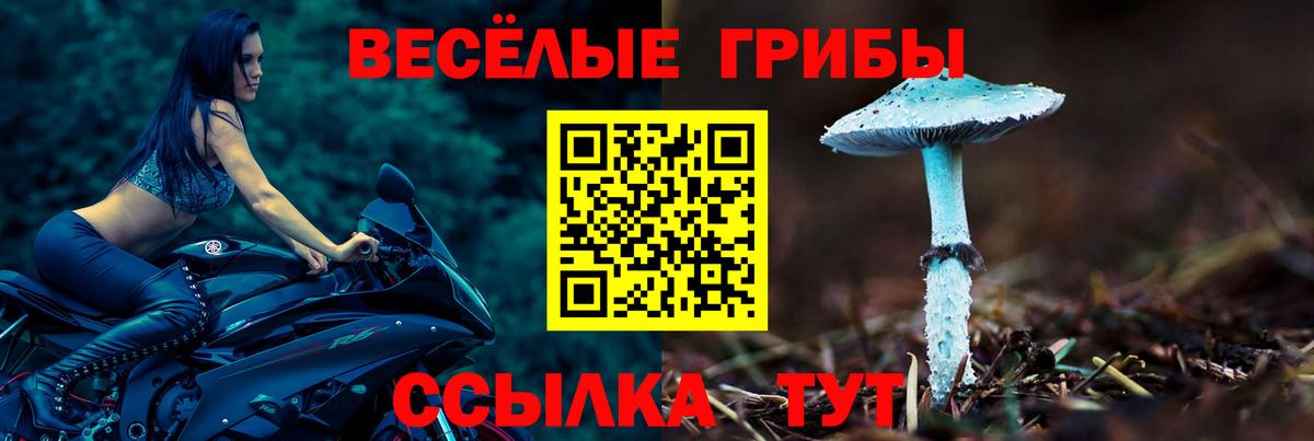 Спасск-Дальний  Псилоцибиновые грибы ЛСД  Вход с VPN  Псилоцибиновые грибы Cubensis 